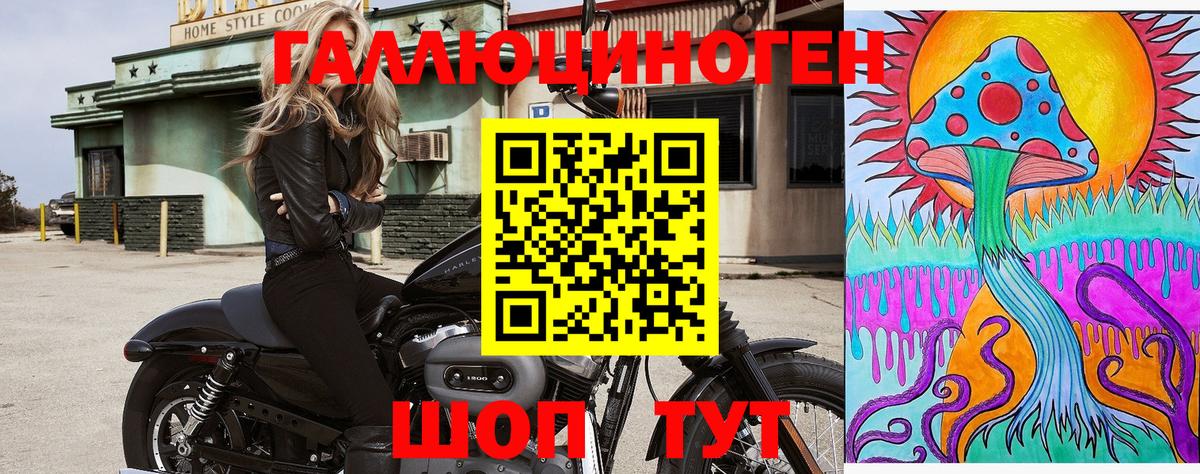 Галлюциногенные грибы GOLDEN TEACHER Корсаков