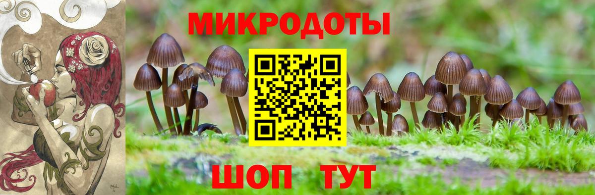 как найти наркотики  Вход с VPN  Корсаков  Псилоцибиновые грибы Psilocybine cubensis 